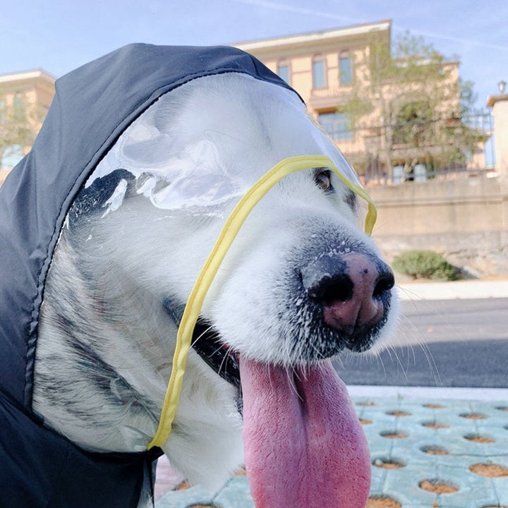 Why Your Pet Needs a Waterproof Raincoat