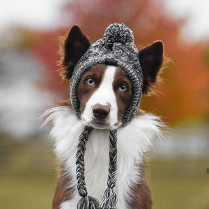 Keep Your Pup Cozy This Winter with Our Fluffy Knitted Dog Hat