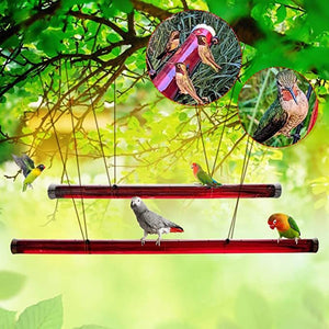 Bring Nature to Your Backyard with the Hanging Long Tube Red Bird Feeder