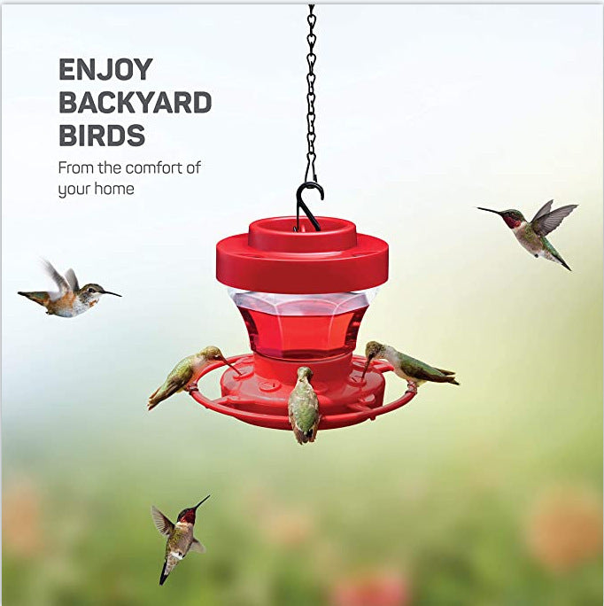Enhance Your Birdwatching Experience with Our Hanging Bird Feeder