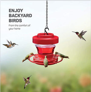 Enhance Your Birdwatching Experience with Our Hanging Bird Feeder