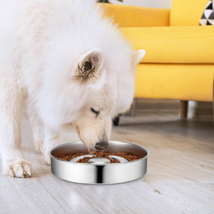 The Ultimate Solution for Your Pet's Eating Habits