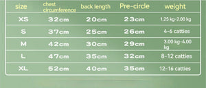 Discover the Perfect Autumn Attire for Your Feline Friend