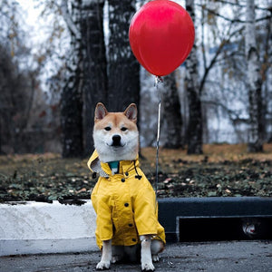 Keep Your Dog Dry and Stylish with Our Dog Raincoat!