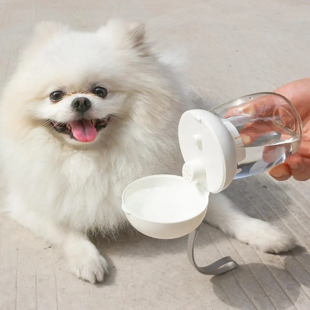 The Ultimate Solution for Hydrating Your Pet on the Go