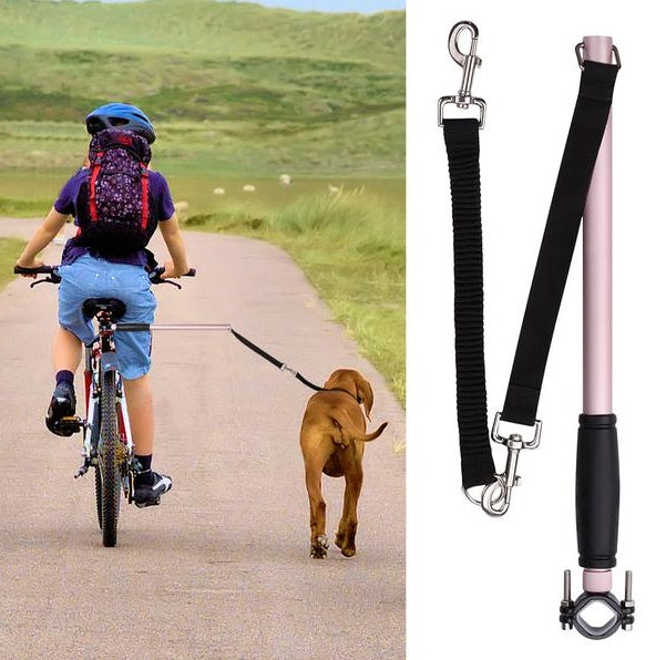 Unleash the Adventure with Our Bicycle Walking Dog Leash