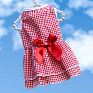 Unleash the Joy of Walks with Our Pet Walking Out Chest Back Leash