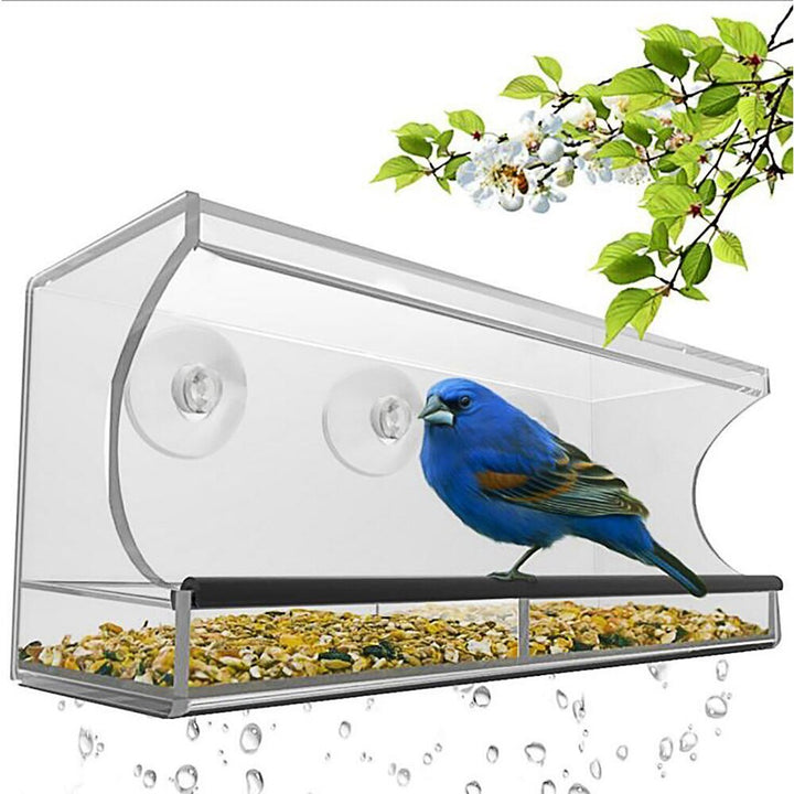 Elevate Your Bird Watching Experience with the New Bird Pet Feeder