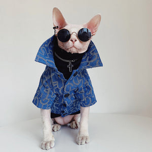 Why Your Hairless Cat Needs a Stylish Jacket