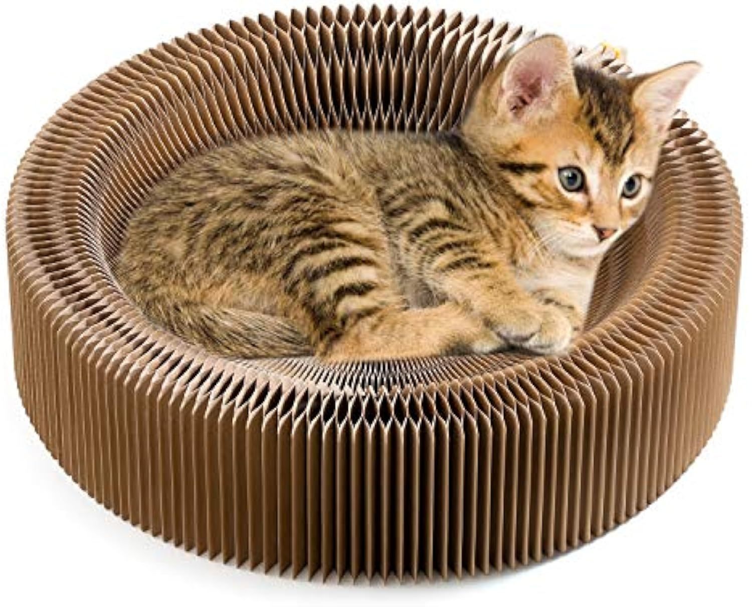 Elevate Your Cat's Comfort with the Collapsible Cat Scratcher Lounge Bed