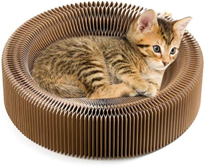 Elevate Your Cat's Comfort with the Collapsible Cat Scratcher Lounge Bed