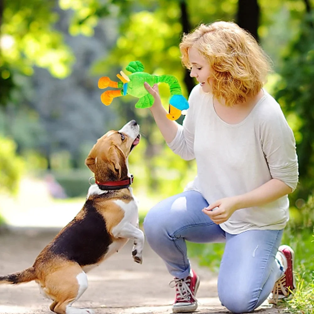 Why Every Pet Owner Needs the Screaming Chicken Interactive Chew Toy