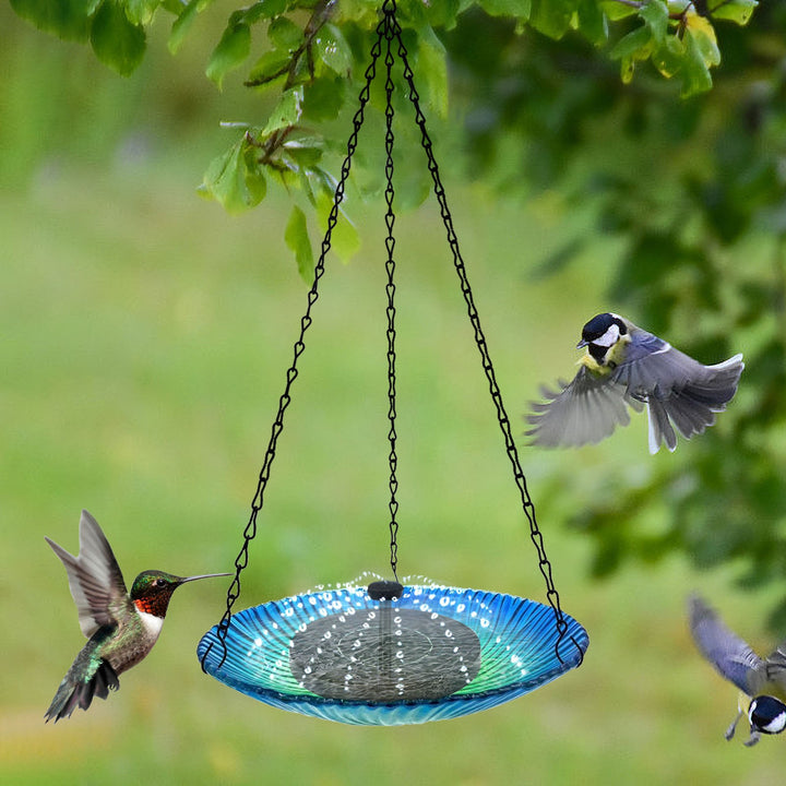 Transform Your Garden with the Outdoor Garden Fountain Hanging Bird Feeder