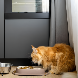 Setting Up the Perfect Pet Feeding Station