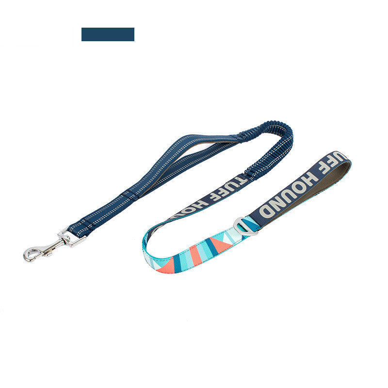 The Ultimate Stretchable Pet Dog Leash: Freedom and Control in One