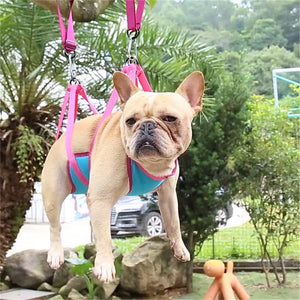 Transform Grooming into a Fun Experience with Our Pet Grooming Hammock!