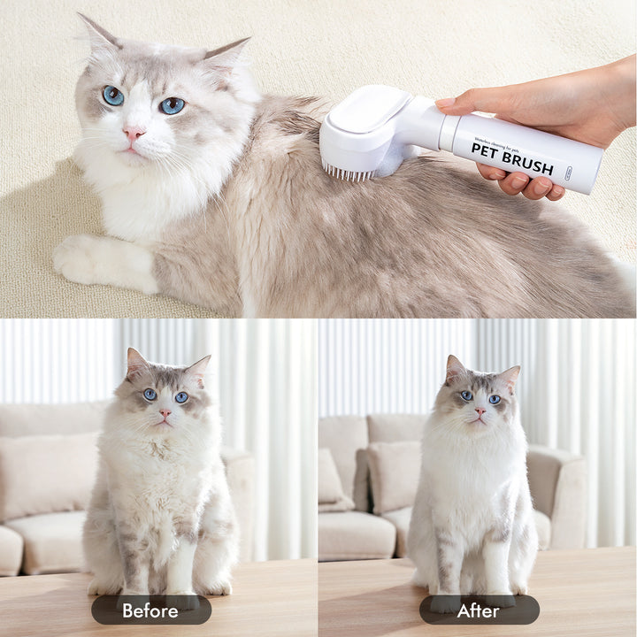 Pet Disposable Foam Magic Comb