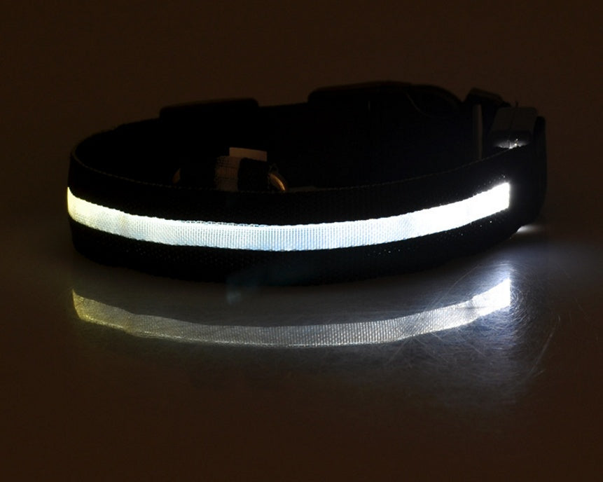 LED Pet Luminous Collar, Night Safety, Flashing, Glow in Dark