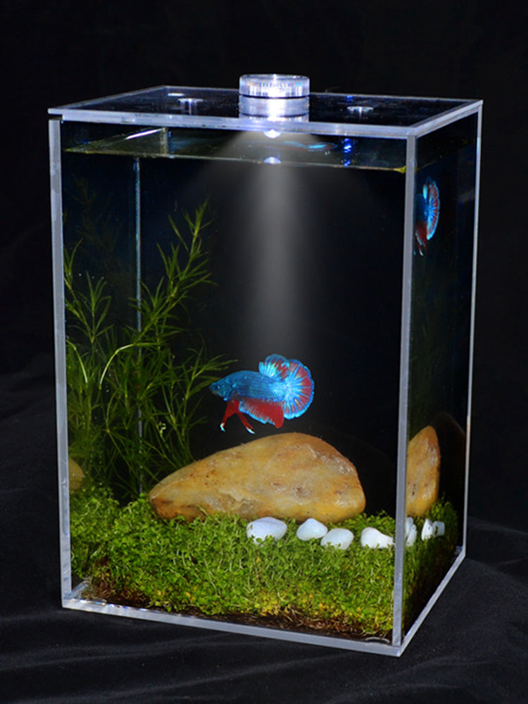 Fish tank small creative transparent white square