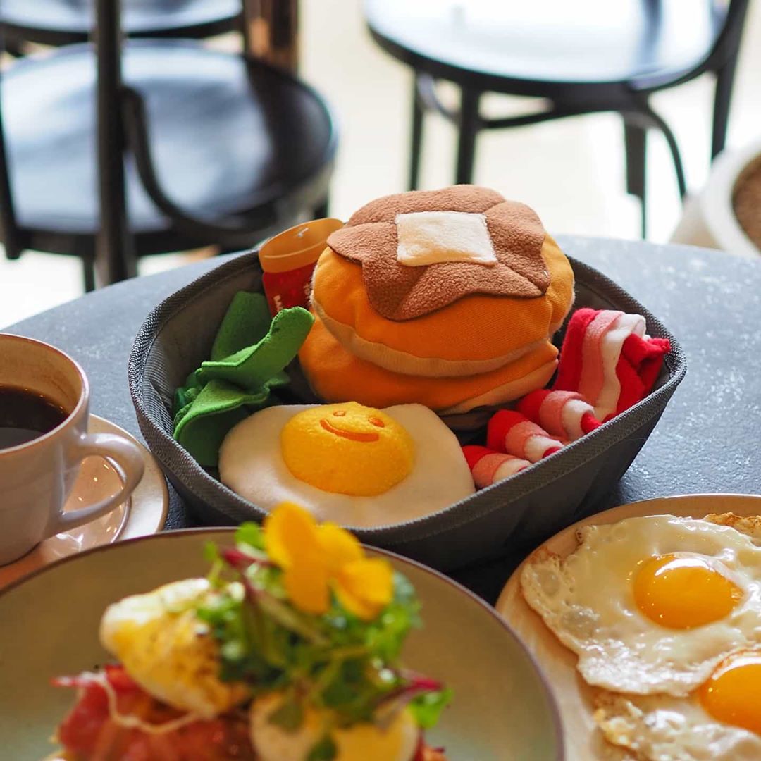 Dog hide and seek food toys