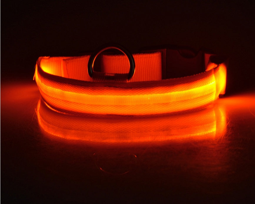 LED Pet Luminous Collar, Night Safety, Flashing, Glow in Dark