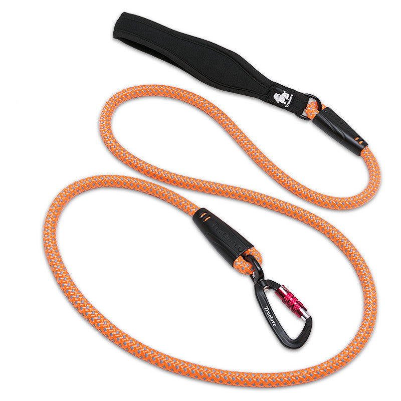 Big Dog Traction Walking Rope