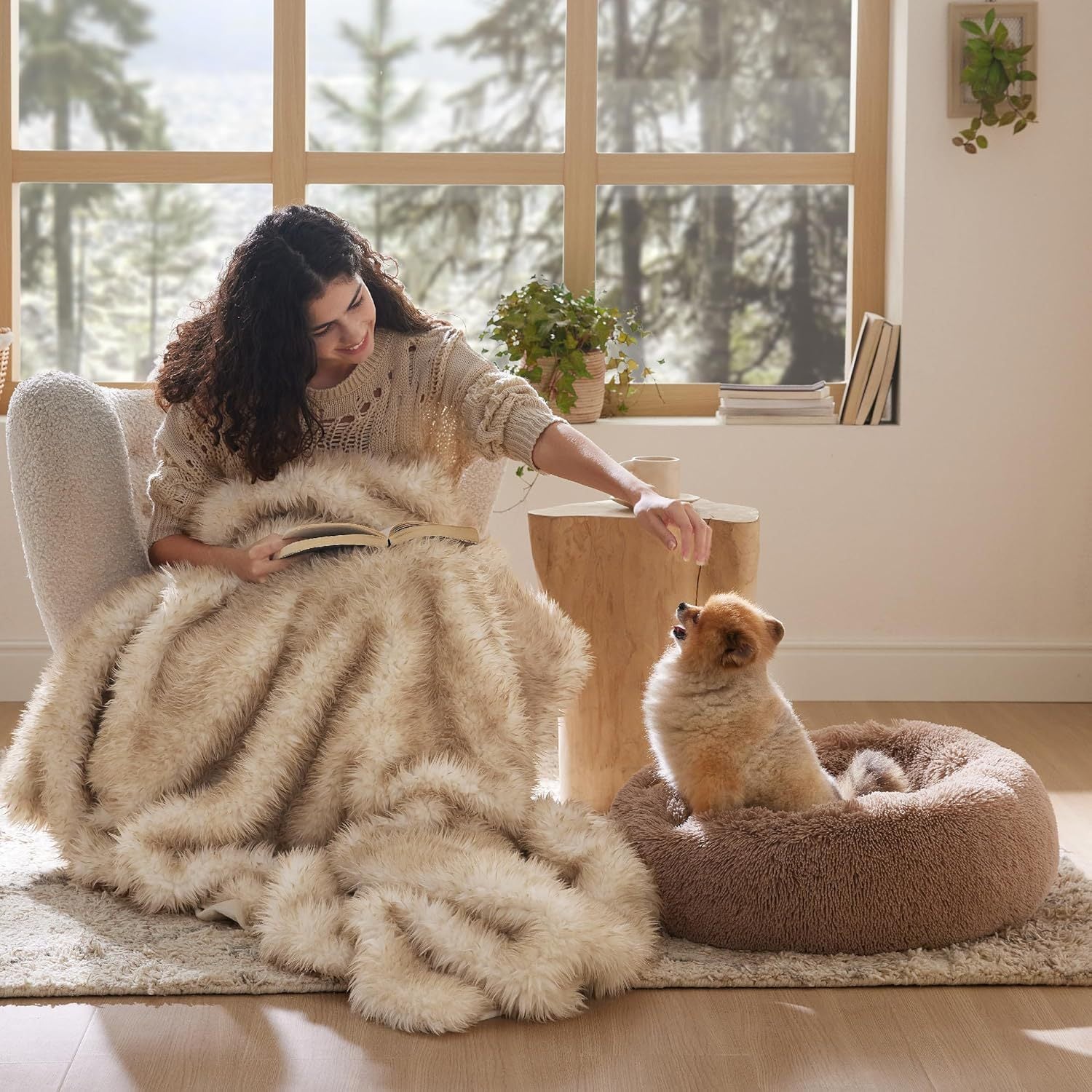 Indoor Solid Color Pet Bed