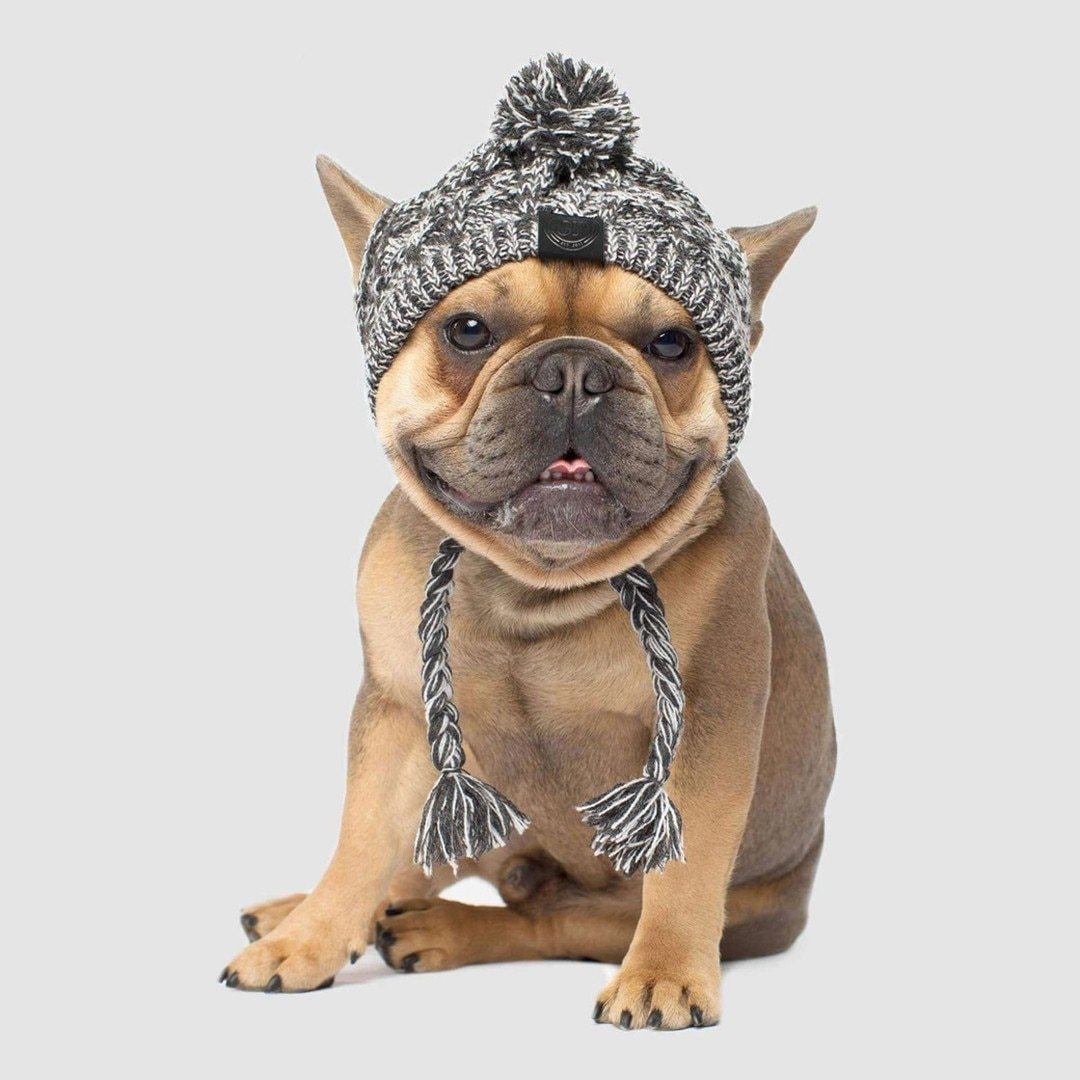Winter Fashion Dog Hat Windproof, Fluffy Knitted Pom Pom Hat