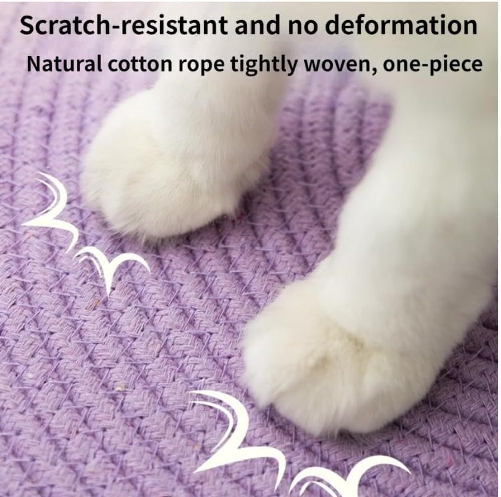 Scratch Cat Bed For Indoor Cats