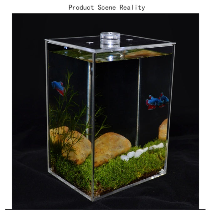 Fish tank small creative transparent white square