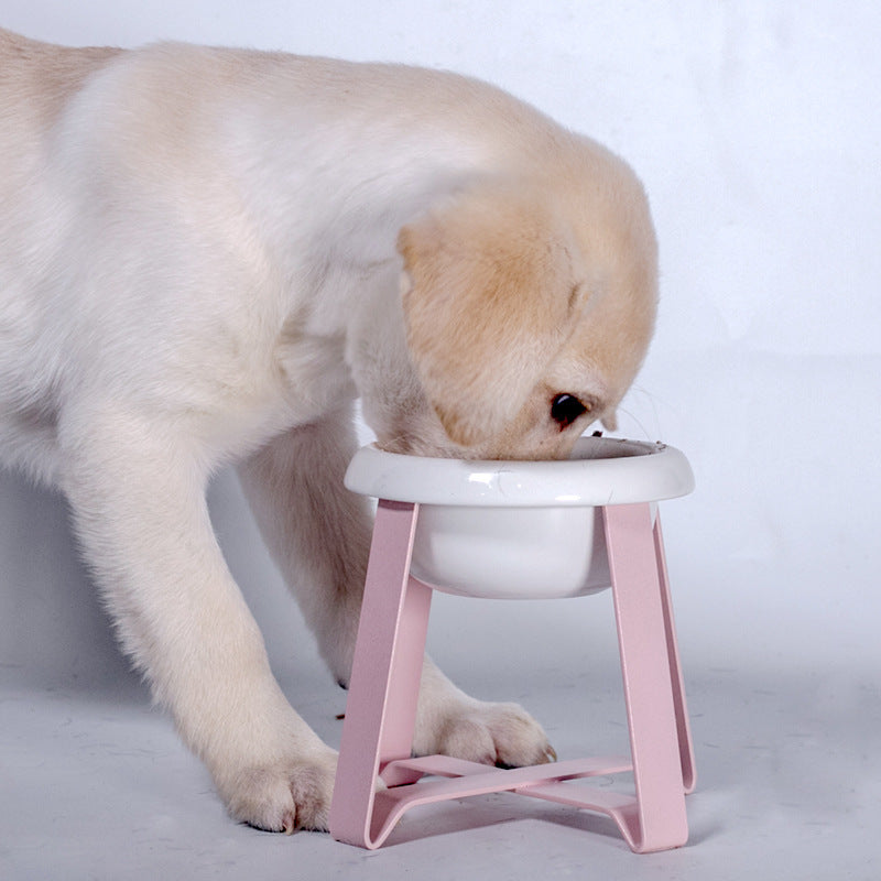 Pet Creative Cat Feeding Bowl