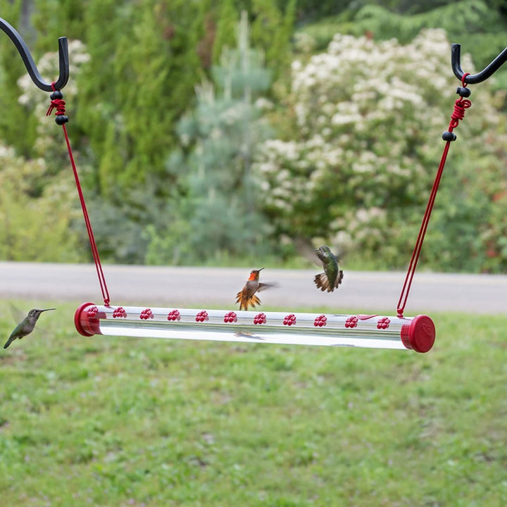 Hanging Long Tube Hummingbird Bird Feeder