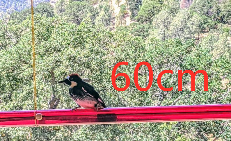 Hanging Long Tube Red Bird Feeder