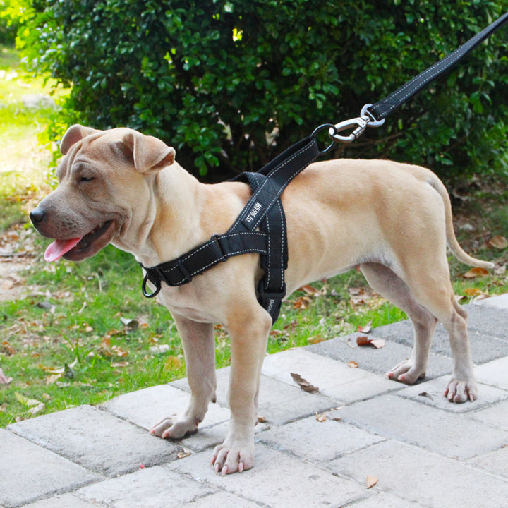 Dog Harness Leash Rope Set