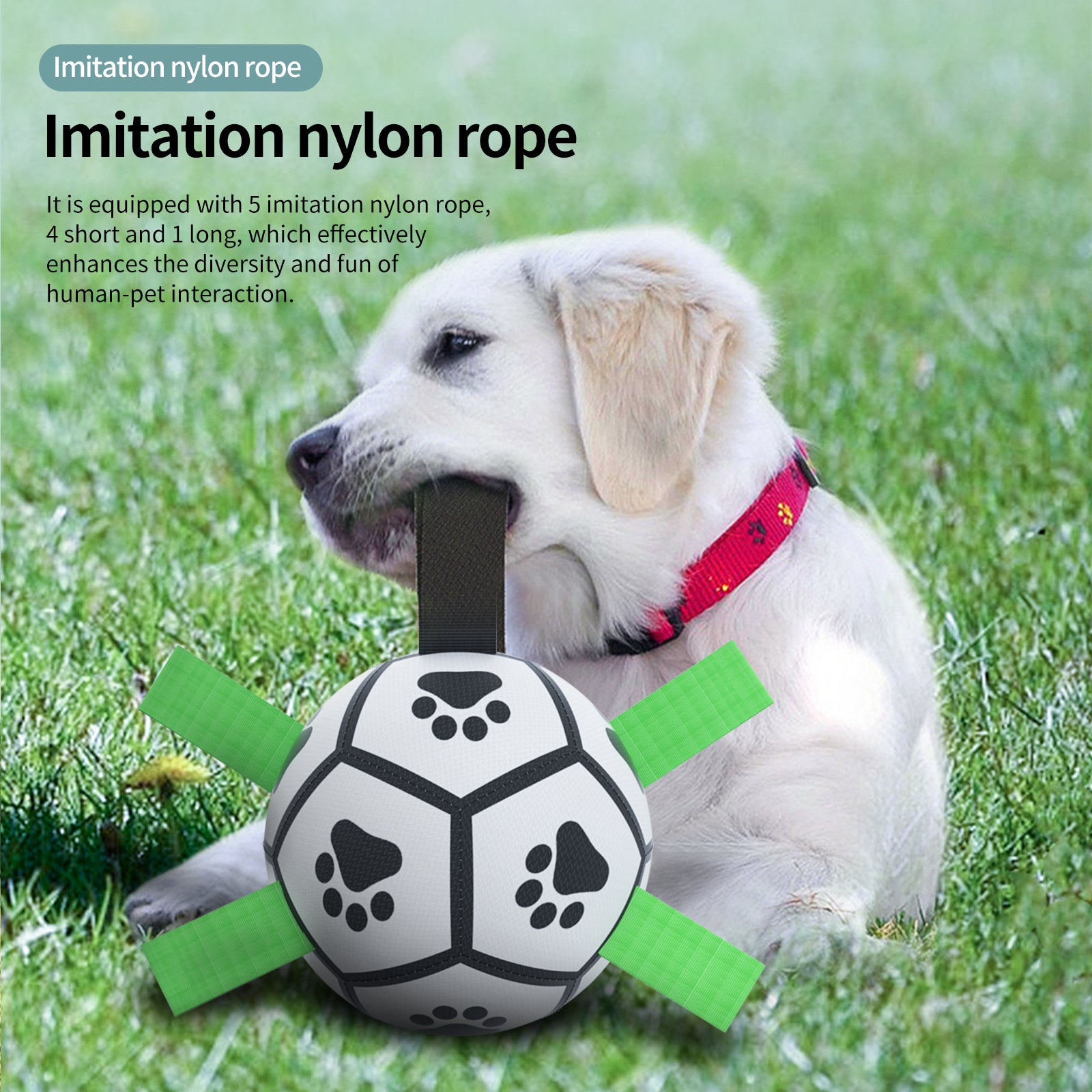 Toy Soccer Ball Training Toy for Dog