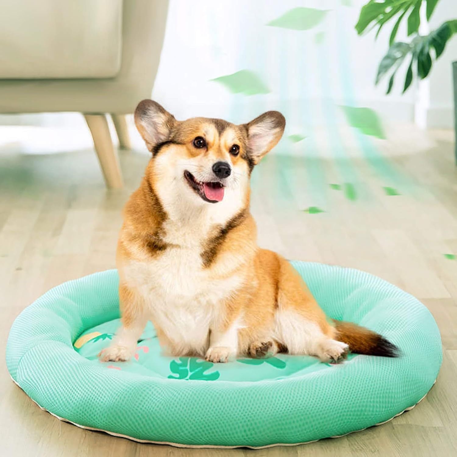 Cooling Dog Bed