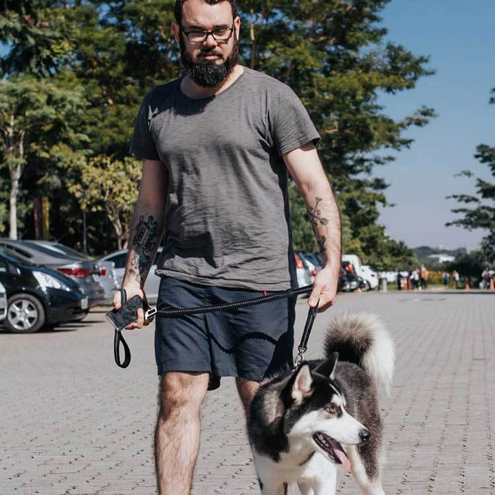 Car Traction Dog Leash