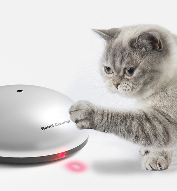 Teasing cat robot sweeper
