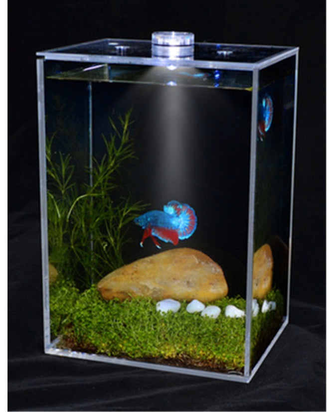 Fish tank small creative transparent white square