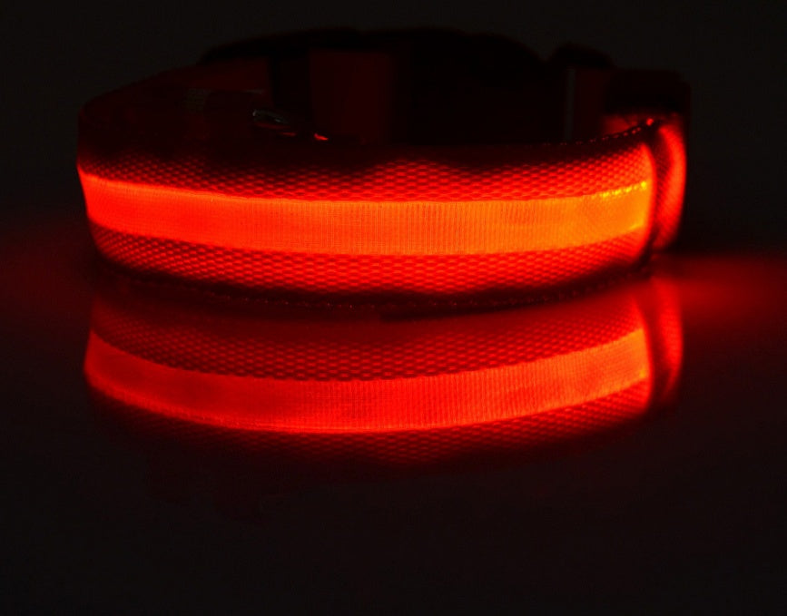 LED Pet Luminous Collar, Night Safety, Flashing, Glow in Dark