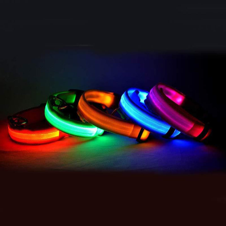 LED Pet Luminous Collar, Night Safety, Flashing, Glow in Dark