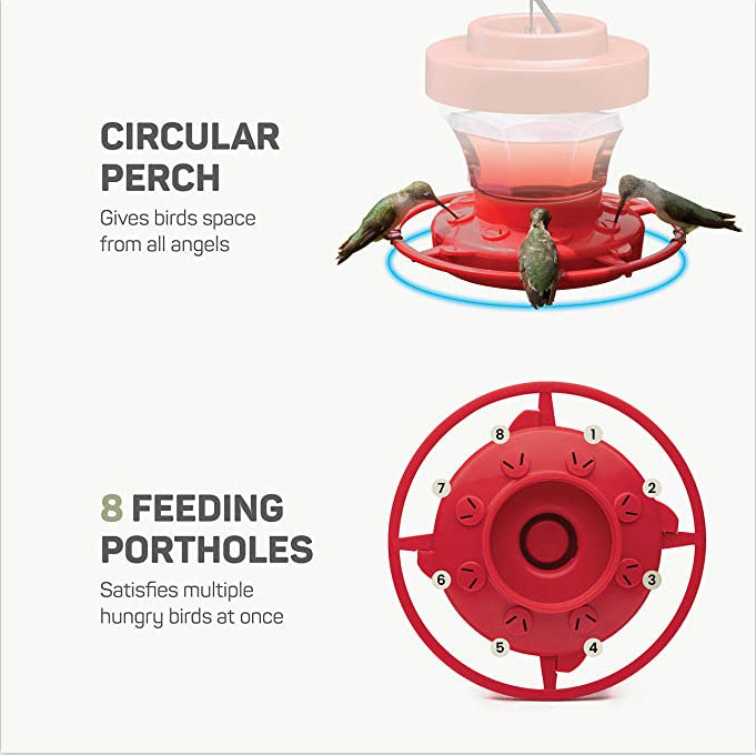 Feeder Bird Water Drinker Feeder