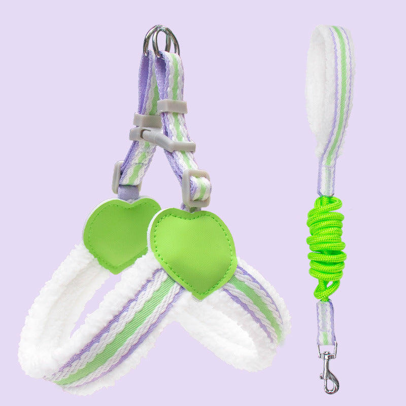 Dog Leash Summer