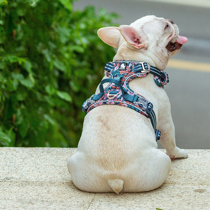 Dog Leash Vest Type Walking Chain