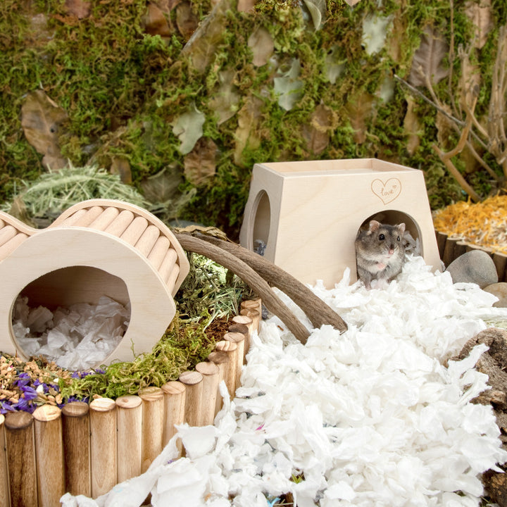 Hamster Hideout House Climbing Toy