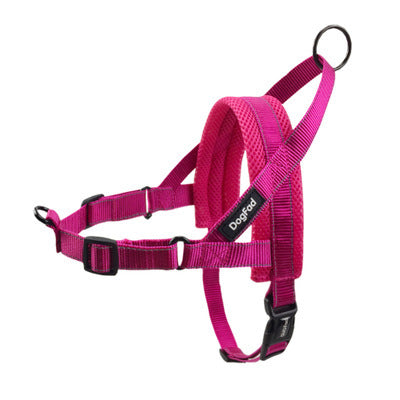 Dog Harness Leash Rope Set
