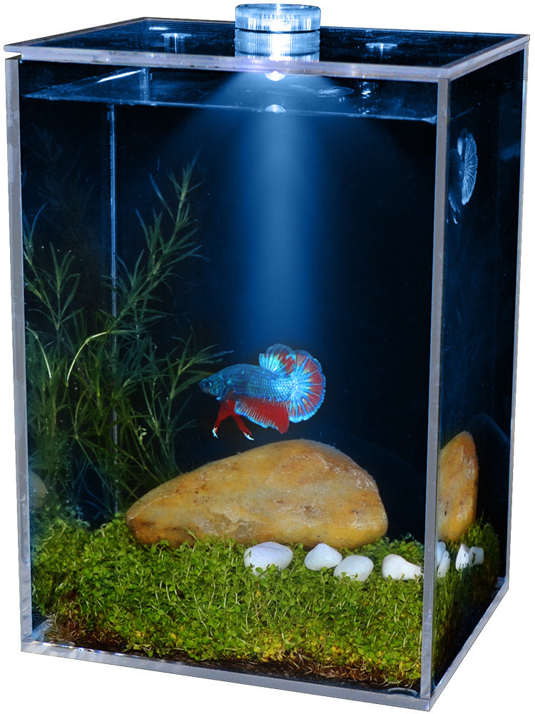 Fish tank small creative transparent white square