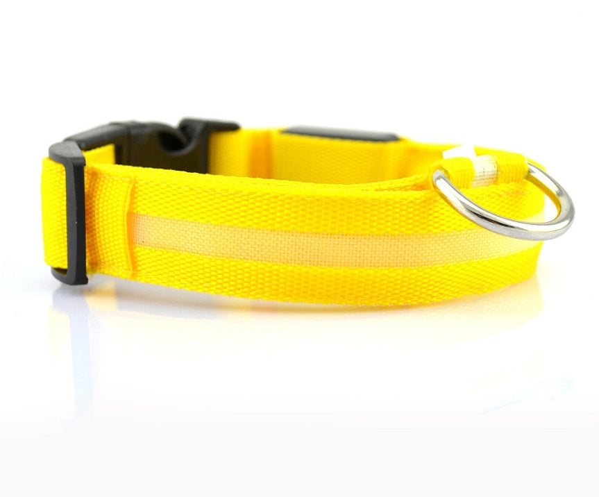 LED Pet Luminous Collar, Night Safety, Flashing, Glow in Dark