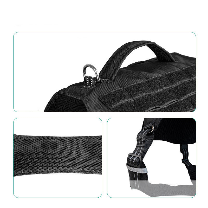 Pet Walking Dog Leash