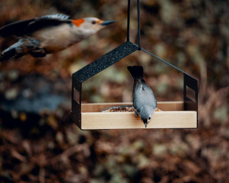 Outdoor Garden Hanging Bird Feeder